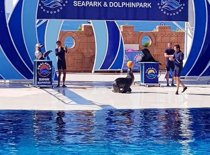 Granada Luxury 800м от пляжа клеопатра *