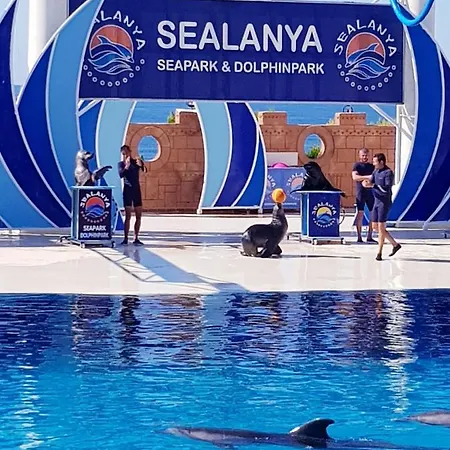 Granada Luxury 800м от пляжа клеопатра *