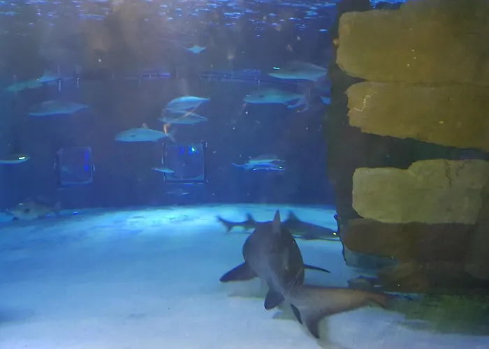 Granada Luxury 800м от пляжа клеопатра Ξενοδοχείο με διαμερίσματα