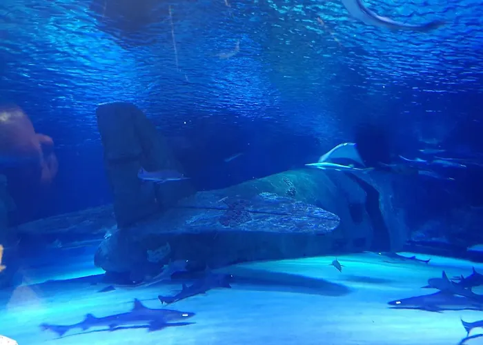 Ξενοδοχείο με διαμερίσματα Granada Luxury 800м от пляжа клеопатра *