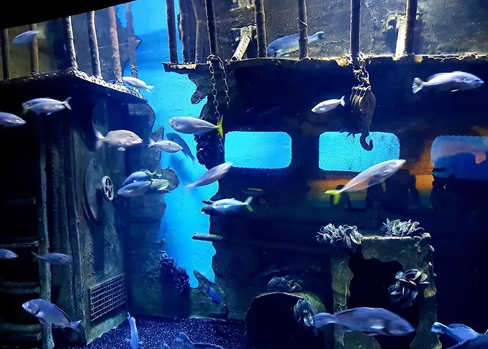 Ξενοδοχείο με διαμερίσματα Granada Luxury 800м от пляжа клеопатра