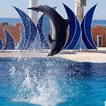 Granada Luxury 800м от пляжа клеопатра 公寓式酒店 阿拉尼亚