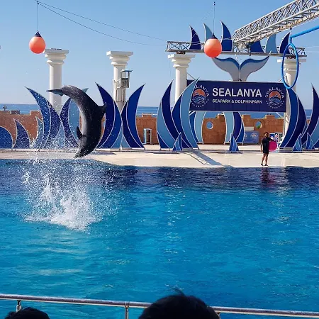 公寓式酒店 Granada Luxury 800м от пляжа клеопатра *