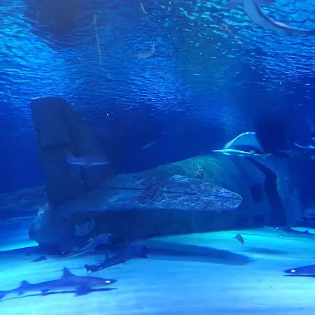 公寓式酒店 Granada Luxury 800м от пляжа клеопатра *