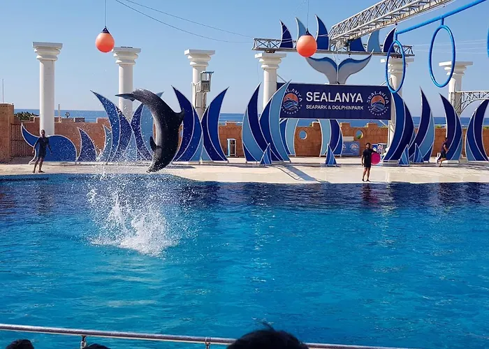 アパートホテル Granada Luxury 800м от пляжа клеопатра *