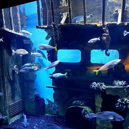 Apart-hotel Granada Luxury 800м от пляжа клеопатра